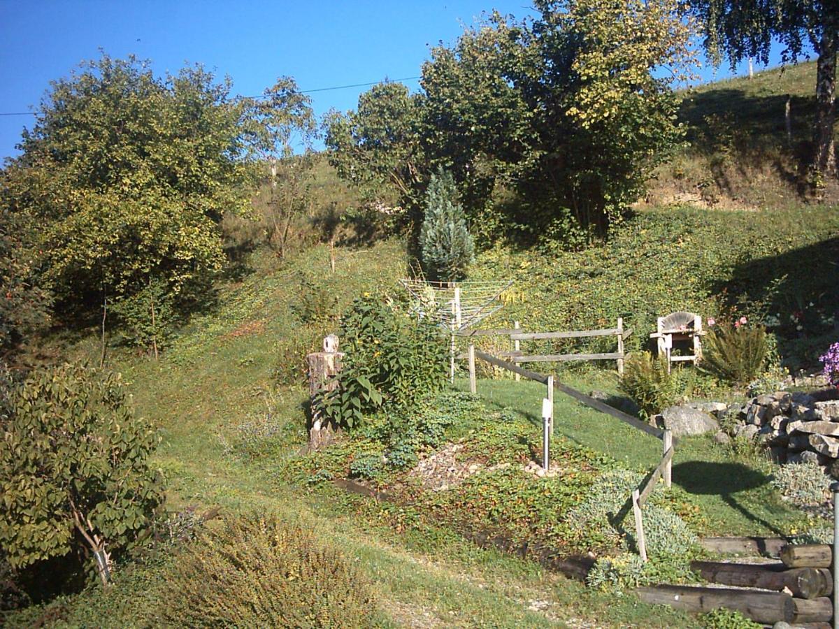 Chalet-Gite Berbuche Sainte-Croix-aux-Mines ภายนอก รูปภาพ