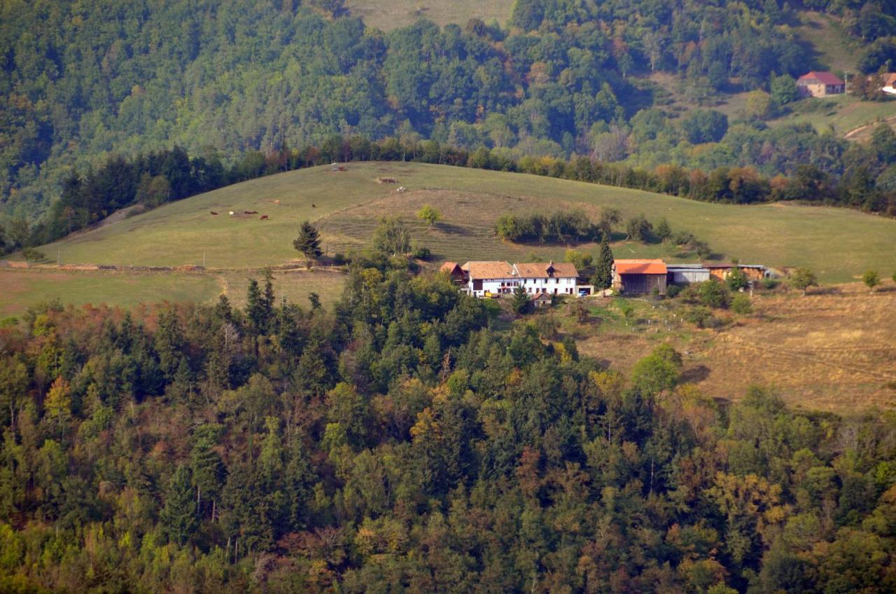 Chalet-Gite Berbuche Sainte-Croix-aux-Mines ภายนอก รูปภาพ